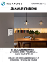 Умное Двухканальное Zigbee реле SONOFF MINI-ZB2GS-L (8А-на канал)