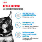 Royal Canin Maxi Puppy Макси Паппи Влажный корм для щенков крупных пород в возрасте до 15 месяцев 100г