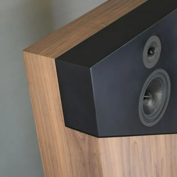 Davis Acoustics THE WALL Walnut