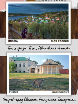 Моя Россия. Коты