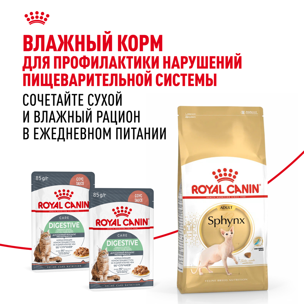 Royal Canin Sphynx Adult Сфинкс Эдалт Корм сухой сбалансированный для взрослых кошек породы Сфинкс от 12 месяцев 2кг