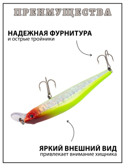 Воблер Минноу Rigge 90SP 90 мм 9.8 г цвет #24