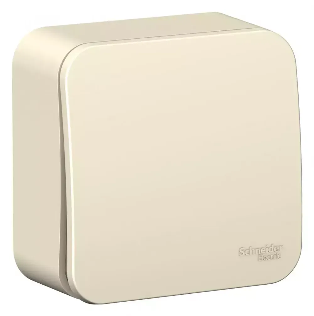 Schneider Electric BLANCA О/У ВЫКЛЮЧАТЕЛЬ 1-клавишный (cх.1) ИЗОЛ.ПЛ., 10А, 250B, МОЛОЧНЫЙ 407508