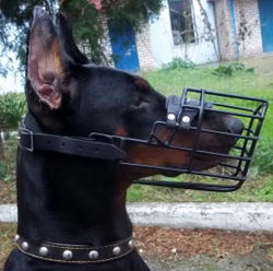 Намордник металлический обливной комфорт от Fordogtrainers