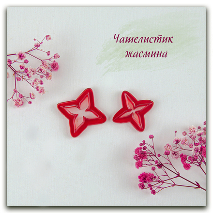 Чашелистик жасмина