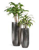 Кашпо TREEZ Effectory Metal Высокий округлый конус Стальное серебро в-72, д-31 см 41.3317-04-014-DSL-72