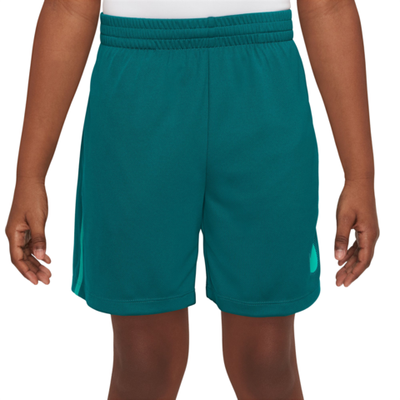 Шорты для мальчика теннисные Nike Dri-Fit Multi+ Graphic Training Shorts - geode teal/clear jade/clear jade
