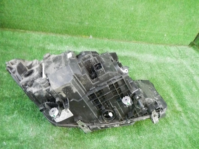 DSCN8711.JPG