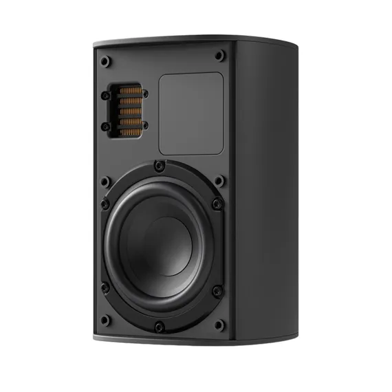 Piega Ace 30 Wireless RX Black