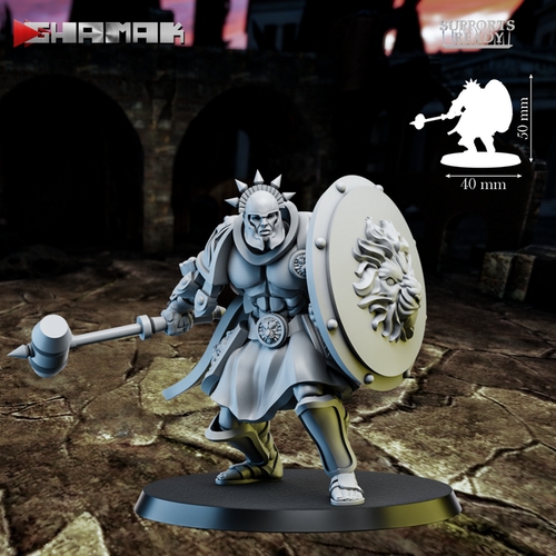 Grand Alliance Order Stormcast Eternal Sequitors Воитель с молотом и щитом №3 миниатюра для dnd, днд, pathfinder, фентези, Настольная игра, НРИ, Варгейм, РПГ