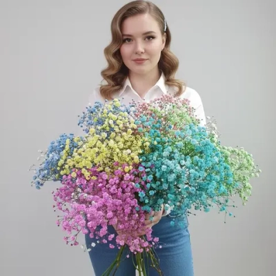 Гипсофила