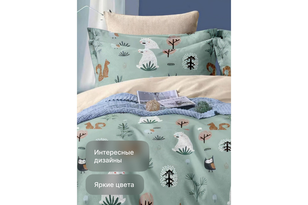 Постельное белье GoodNight Сатин Делюкс Кидс В143 с компаньоном 1,5 сп. (с нав. 50х70)
