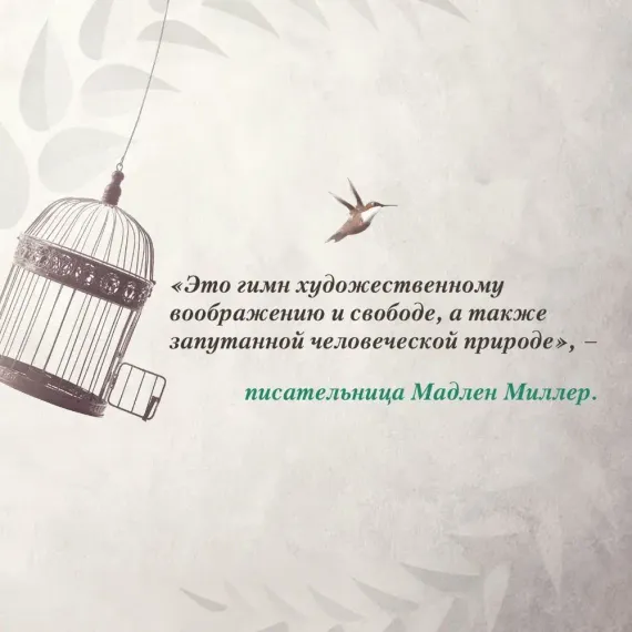 Нежность