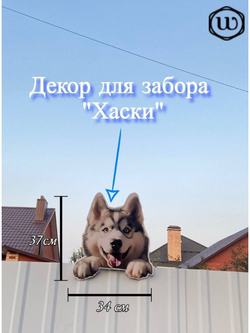 Декор для забора "Особенная Хаски"