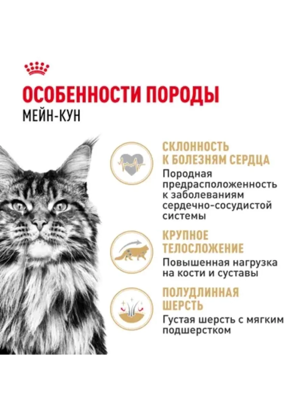 Maine Coon Adult Корм для кошек в соусе 85г*28шт