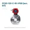 РС65-120-С-Ф1-IP68 (вкл. БП)