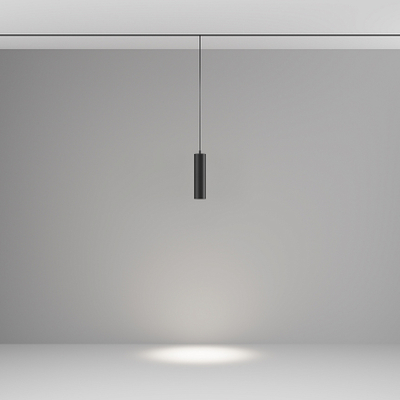 Трековый подвесной светильник Фокус / Focus Led Exility 2700-6000K 12Вт 36° Dim Smart, TR041-4-12W3K-M-DS-B. TM Maytoni