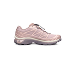 Кроссовки Salomon XT-6 Gore-Tex "Iron Etherea"