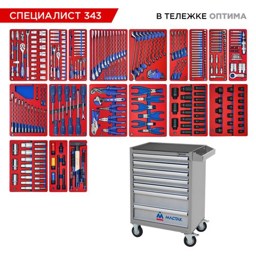 МАСТАК (52-07343G) Набор инструментов 343 предмета, "СПЕЦИАЛИСТ 343", в серой тележке