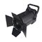 Fresnel Zoom 100/23-90
