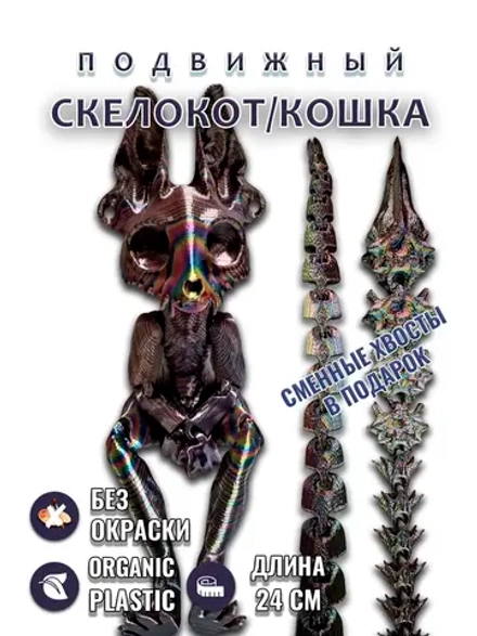 Скелет Кошки