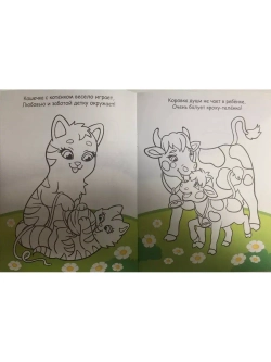 Раскраска для детей