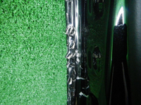 DSCN0775.JPG