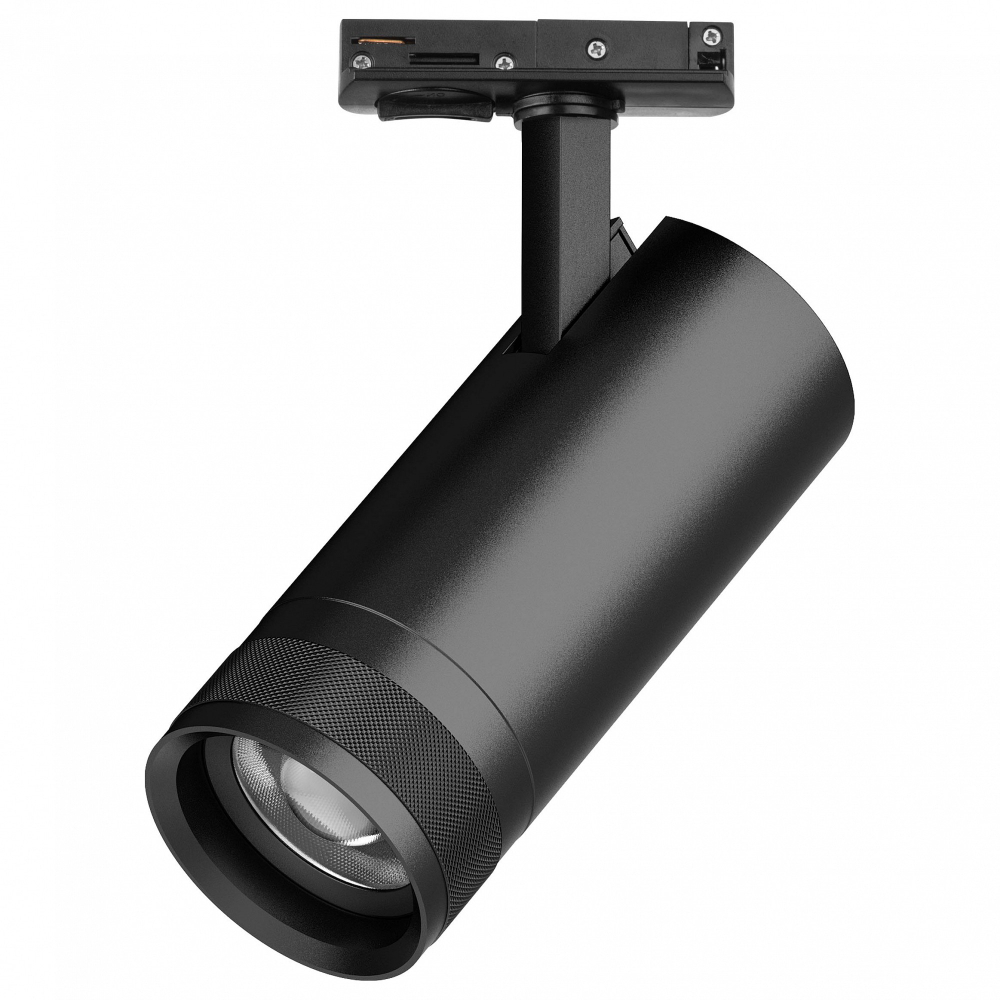 Светильник на штанге Lightstar Canno Pro C4207SS