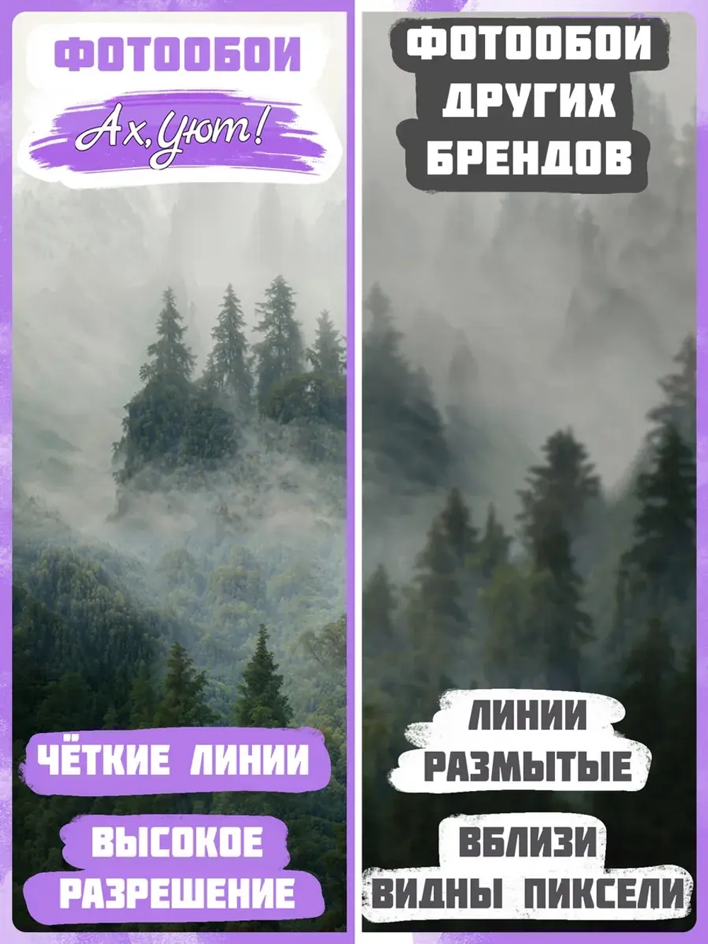 Фотообои хвойный лес в тумане