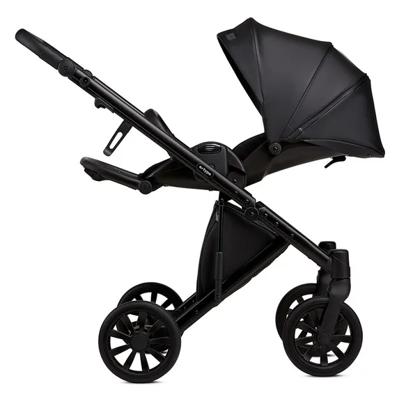 Коляска ANEX e/type 2 в 1 (CrN-01) noir