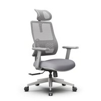 Эргономичное компьютерное кресло FoxGear NETZ One, DGGY, серый (FG-NETZ-ONE-DGGY)