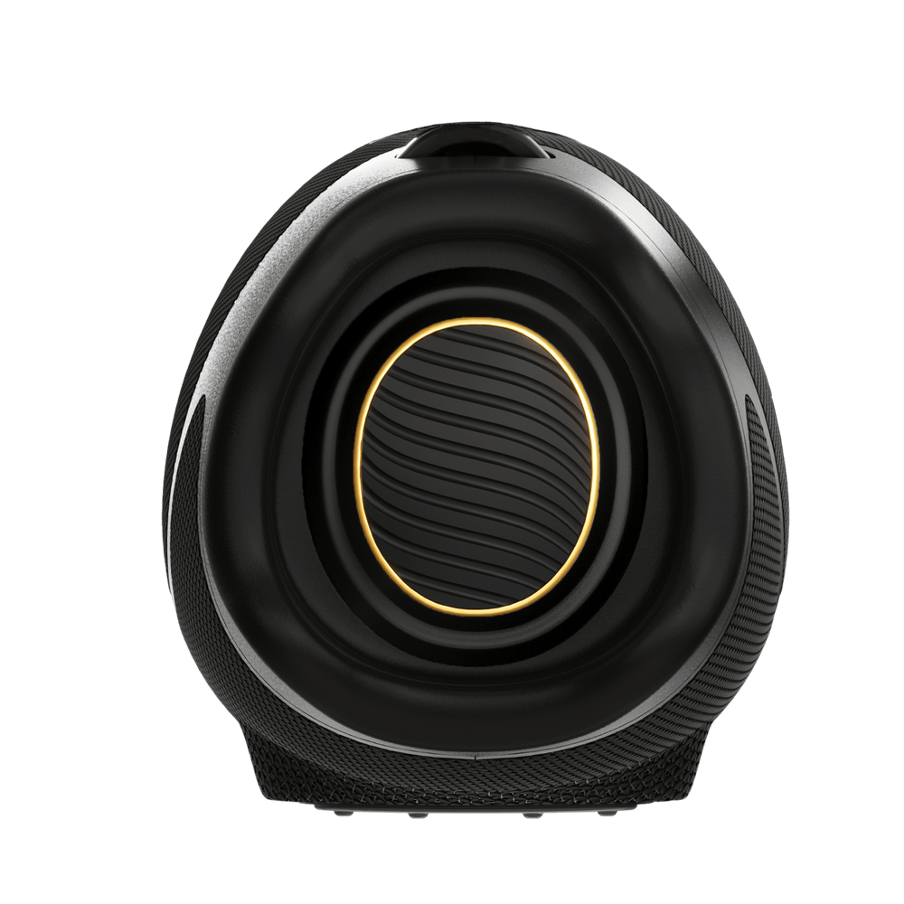 Колонка портативная Hisense FlexBOOM