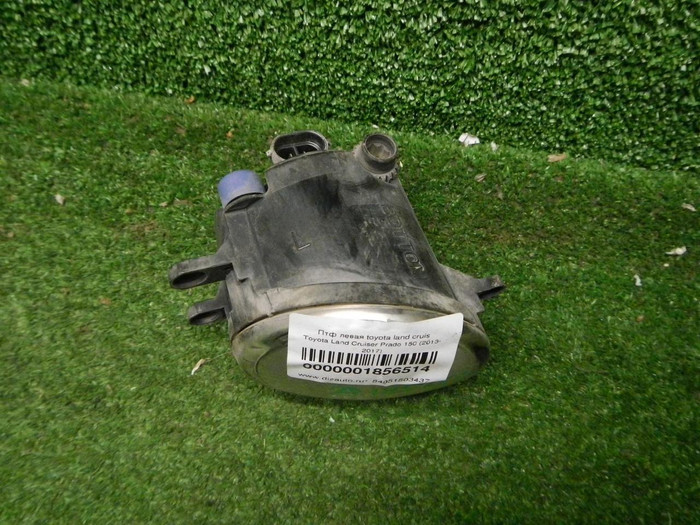 DSCN2734.JPG