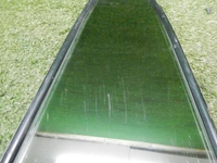 DSCN5842.jpg