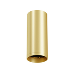 Накладной светильник Maytoni Focus C010CL-01MG-N