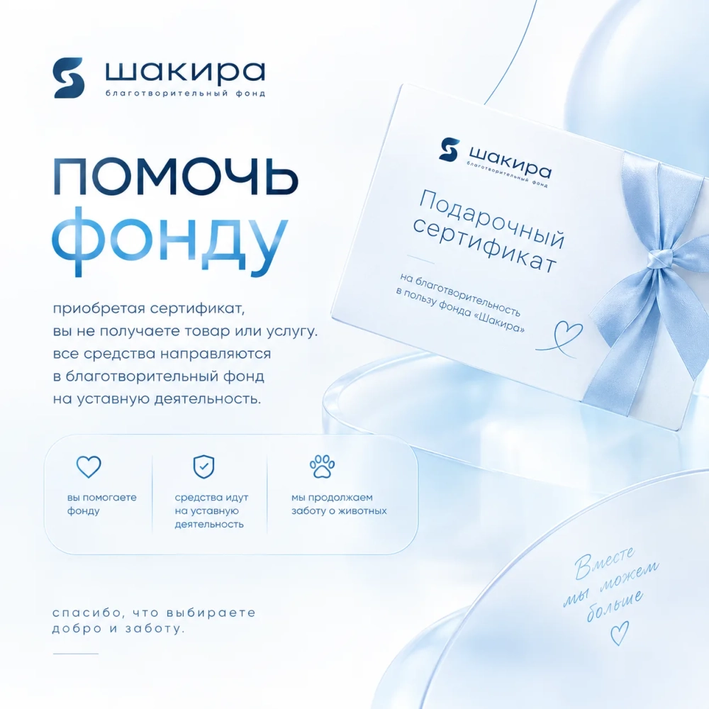 сертификат помощи | 100 рублей