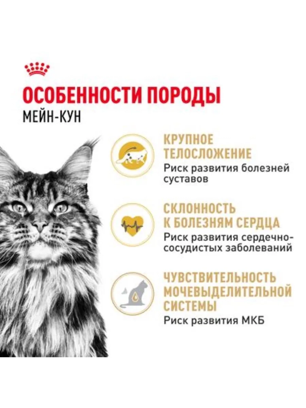 Maine Coon Корм для кошек 2кг