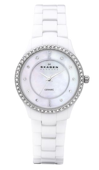Наручные часы Skagen 347SSXWC