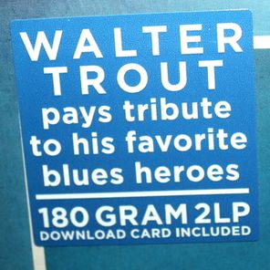 Walter Trout / Survivor Blues (2LP)