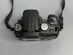 Sony A100