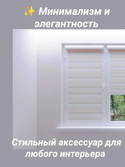 Рулонные шторы День-Ночь 50х160 см