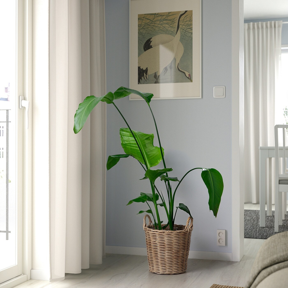 IKEA FLODBJÖRK  (ИКЕА ФЛОДБЙÖРК)  -  Крышка для цветочного горшка, внутренняя/наружная светло-серо-коричневая, 24 см