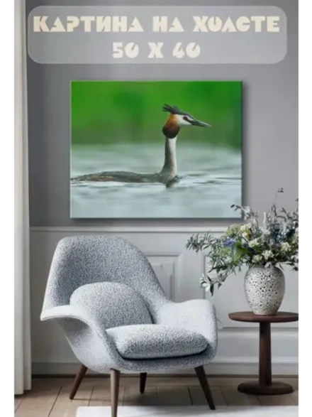 Картина на стену 40 X 50 Птица