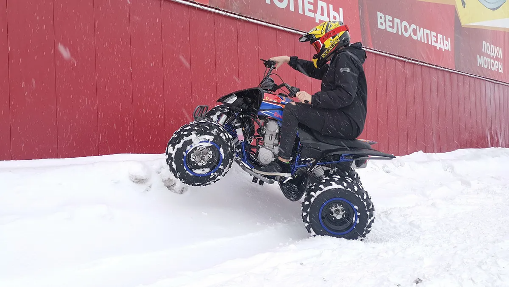 Квадроцикл PROMAX RAPTOR 300 NEW