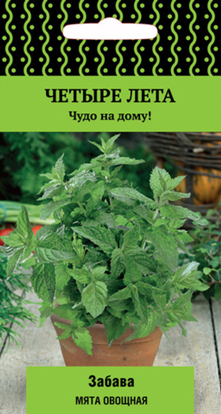 Мята Забава овощная 20шт /Четыре лета/ Поиск