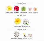 Hibiscus Palm Aerin 100ml (duty free парфюмерия)