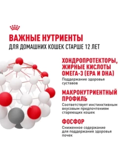 AGEING 12+ Корм для кошек в желе 85г*28шт