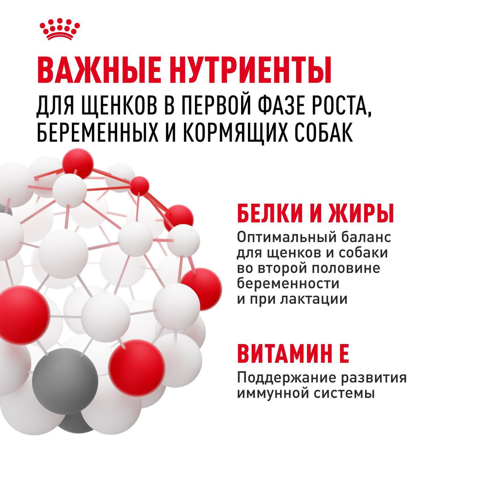 Royal Canin Medium Starter Mother&Babydog Медиум Стартер энд бебидог Корм для щенков средних пород до 2 месяцев беременных и кормящих собак 12кг