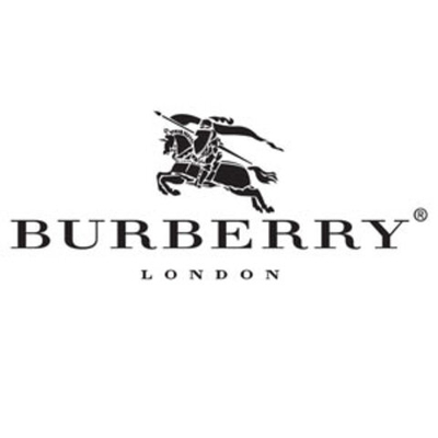 burberry mr. burberry (m) 100ml edp tester