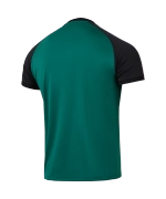 Футболка игровая CAMP Reglan Jersey, темно-зеленый